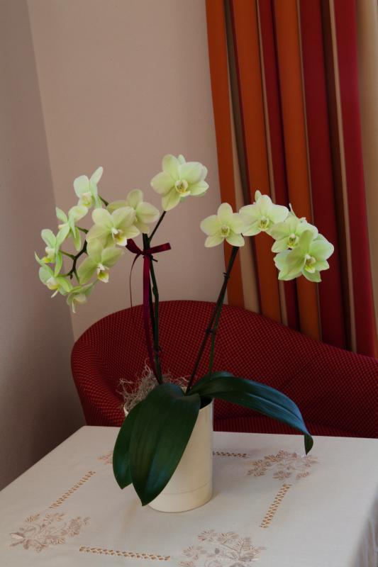 Pension Ciasa Olga 拉维拉 外观 照片